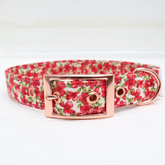 Belt Buckle Dog Collar in Floral Design Traditional Metal Buckle