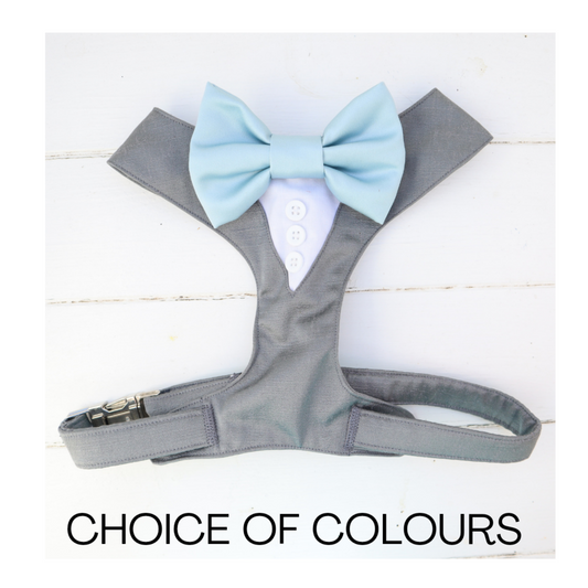 Tuxedo Wedding Dog Harness in Grey Shot Silk Satin with Dusty Blue Bow CHOICE of COLOURS