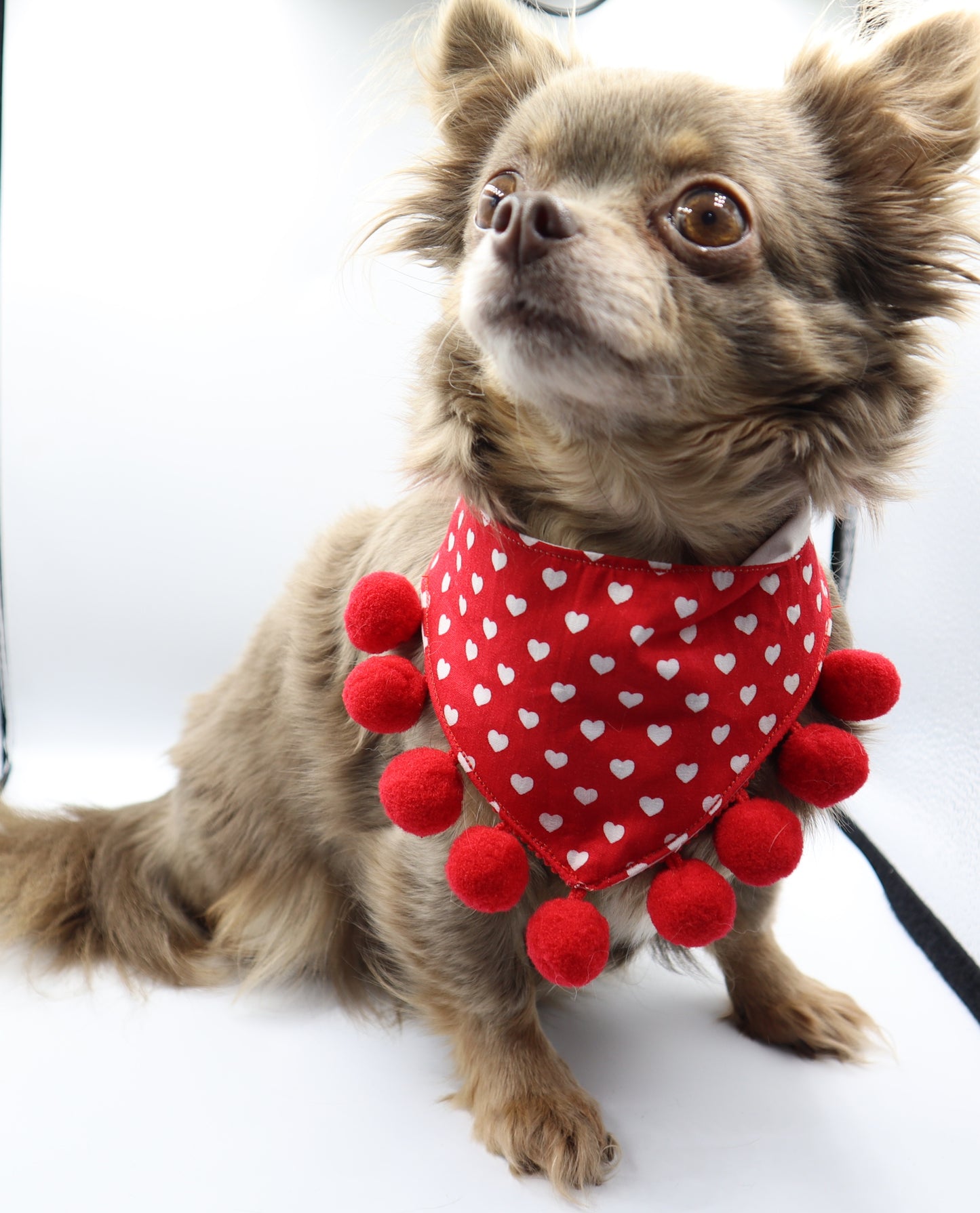 Dog Bandana in Red Hearts Fabric with Pom Pom Trim Valentines Day